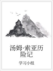 汤姆·索亚历险记