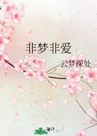 非梦非爱
