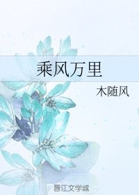 乘風萬里
